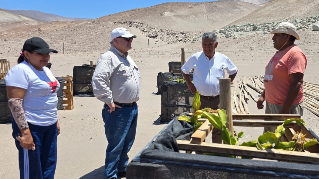 Agricultores de Alto Camarones Norte denuncian incremento de más de un 300% del valor de los arriendos de sus predios fiscales
