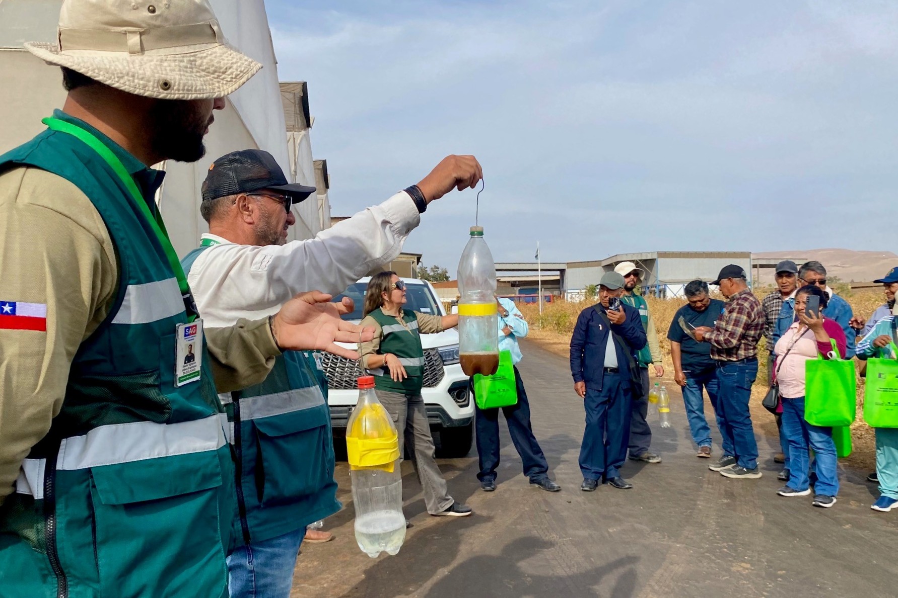 PRODUCTORES DE TACNA Y ARICA FORTALECEN CONTROL DE LA MOSCA DE LA FRUTA