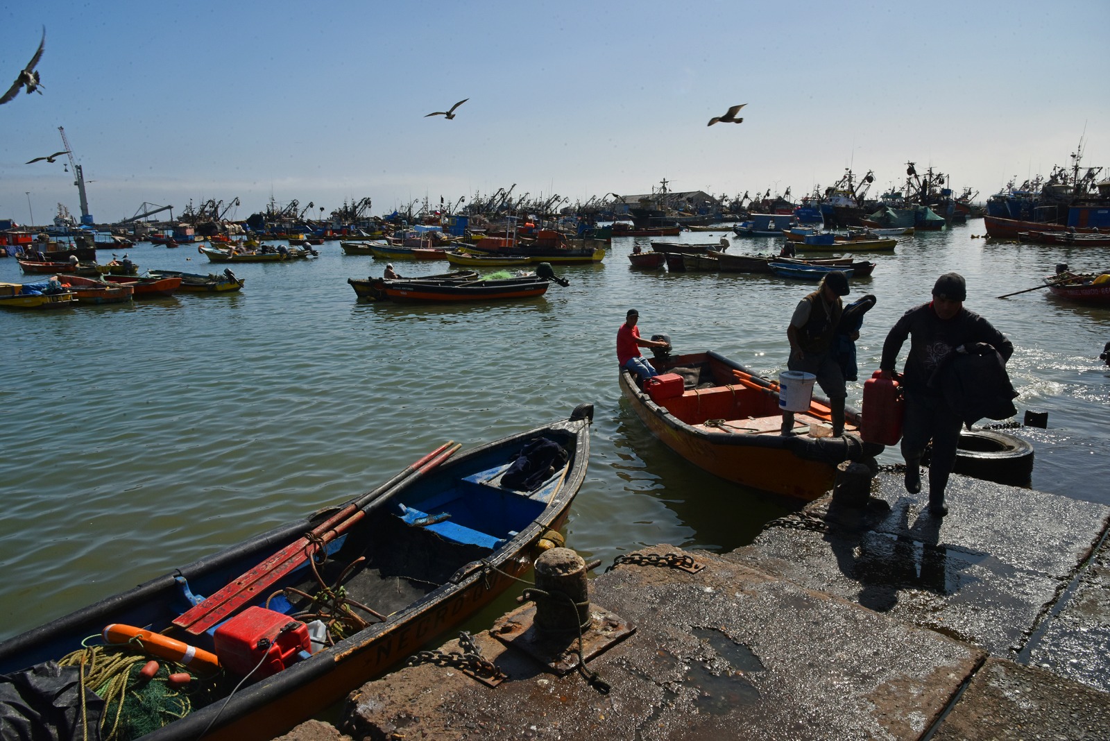 GOBIERNO ANUNCIA APOYO EXTRAORDINARIO PARA PESCADORES ARTESANALES DE ARICA Y PARINACOTA ANTE ALZA DE COMBUSTIBLES