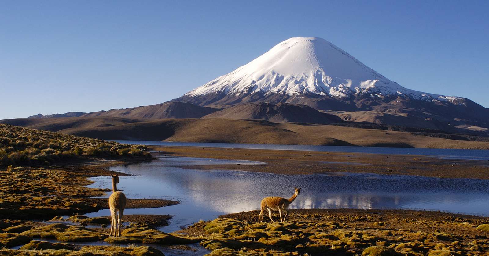 DECRETAN CIERRE TEMPORAL DE PARQUES NACIONALES EN EL ALTIPLANO DE ARICA Y PARINACOTA